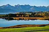 Autumn color at Forggensee lake at dawn with Allgäu Alps mountains rising in distance, Bavaira, Germany