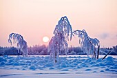 Winter, Tartu County, Estonia, Europe