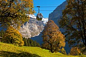 Alpine pastures with cable car- Swiss Alps, Grindelwald, Switzerland