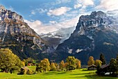 Swiss houses on high Alpine pastures - Grindelwald Switzerland