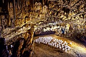 Drogarati caves, Kefalonia, Ionian Islands, Greece