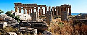 Fallen column drums of Greek Dorik Temple ruins Selinunte, Sicily