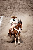 A Mexican charro rides his horse at a charreria competition in Mexico City. Male rodeo competitors are ´Charros, ´ from which comes the word ´Charreria ´ Charreria is Mexico´s national sport.