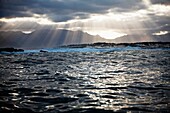 SEAL ISLAND, FALSE BAY IN SOUTH AFRICA