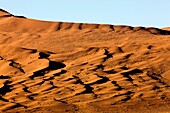 NAMIB-NAUKLUFT PARK, NAMIB DESERT, SOSSULSVLEI DUNES IN NAMIBIA