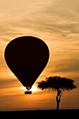 Hot Air Balloon over the Masai Mara National Reserve, Kenya
