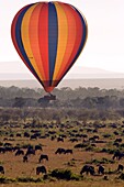 Hot air balloon flying low over Masai Mara National Reserve, Kenya