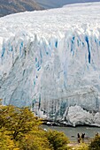 People overlooking Perito Moreno Glacier - Los Glaciares National Park, Argentina