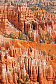 Felstürme im Bryce Canyon, Bryce Canyon Nationalpark, Utah, Südwesten, USA, Amerika