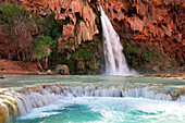 Waterfall Havasu Fall, Havasu, Supai, Grand Canyon, Grand Canyon National Park, UNESCO World Heritage Site Grand Canyon, Arizona, Southwest, USA, America