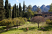 Landhaus mit Park und Garten, Jardines de Alfabia, Tramantura, Bunyola, Mallorca, Spanien