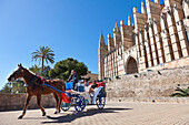 Horse drawn carriage, horse cart, tourists, cathedral Sa Seu, Palma de Mallorca, Mallorca, Spain