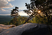 Kiefern auf den Felsen am Pfaffenstein be Sonnenuntergang, Nationalpark Sächsische Schweiz, Elbsandsteingebirge, Sachsen, Deutschland, Europa