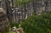 Die Felswand des Hohen Torsteins, Schrammsteine, Nationalpark Sächsische Schweiz, Elbsandsteingebirge, Sachsen, Deutschland, Europa