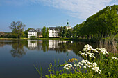 Blick auf Schloss Gottorf, Schleswig, Schlei, Ostsee, Schleswig-Holstein, Deutschland, Europa