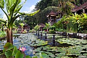 Indonesia-Bali Island-Tirta Gangga , Water Palace