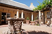 SOUTH AFRICA  -  WESTERN CAPE PROVINCE - 50 KM WEST OF CAPE TOWN : THE VINEYARD OF VERGELEGEN