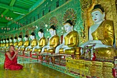 Myanmar (Burma), Sagaing State, Sagaing, U Min Thon Ze Pagoda, the monk Ashin Neik Bu Na praying in front of the 45 Buddha statues of the pagoda