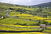 England,Yorkshire,Yorkshire Dales,Swaledale