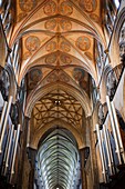 England,Wiltshire,Salisbury Cathedral,The Quire Roof