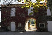 France, Midi-Pyrénées, Gers (32) Saint-Puy (Condom area) Montluc castle, cellar