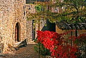France, Gard (30), La Roque sur Cèze, labeled The Most Beautiful Villages of France, a picturesque alley, white stone houses, vegetation autumn