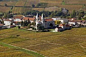 France, Rhône (69), Régnié-Durette, Village of Grand Cru Beaujolais, vineyard in autumn, (aerial view)