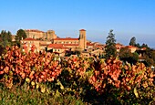 France, Rhône (69), the village of Theizé seen from Beaujolais, in the autumn, on the road of golden stone, on top of the village stands the castle Rochebonne