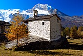 France, Savoie (73), Le Monal, Chapel Mountain slate, classified site, facing Mont Pourri en Vanoise, larch in autumn