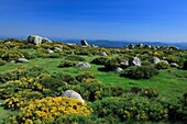 France, Gard (30), Landscape of the Cevennes from the slopes of Mont Lozère National Park Cevennes, World Heritage of Unesco Road Stevenson, / /