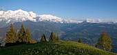 France, Haute-Savoie (74), Mont Blanc (4807 m), scenery from the cottages of Varan in Passy, at the bottom of the valley Condamines