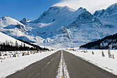 Icefields Parkway in winter. The scenic driving route. Roadway. Mount Athabasca in the distance, The Canadian Rockies. Jasper National Park, Alberta in Canada. Snow on the ground., Jasper National Park Alberta Canada