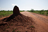 A tall termite mound beside a dirt road in the countryside. A natural structure created by a colony of insects. Earth., Yabello, Ethiopia