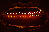 Butter lamp. A tray of warmed oil, with a row of lighted wicks. Light. Close up., Yak Butter oil lamp, Tibet