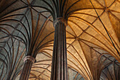 Interior of Basilica de San Sebastian, the only all steel church in Asia, Manila, Philippines, Asia