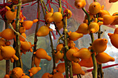 Nipplefruit at the market, Manila, Philippines, Asia