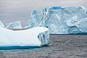Blaue Eisberge bei den South Orkneys, Südpolarmeer, Antarktis