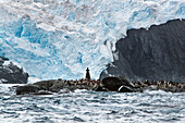 Point Wild mit Monument zu Ehren des chilenischen Leutnants Luis Pardo, Shackleton Expedition, Elefanteninsel, Elephant Island, Südliche Shetlandinseln, Antarktische Halbinsel,  Südpolarmeer, Antarktis