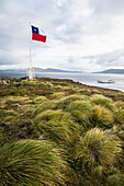 Chilenische Flagge am Kap Hoorn, Kap Hoorn Nationalpark, Insel Hoorn, Archipel, Patagonien, Chile, Südamerika