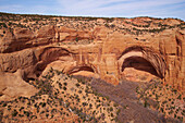 Cliff dwelling in Betatakin Canyon, Betatakin Area, Navajo National Monument, Navajo Indian Reservation, Arizona, USA, America