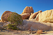 Jumbo Rocks im Joshua Tree National Park, Mojave Wüste, Kalifornien, USA, Amerika