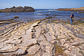 Rocky coast in the sunlight, Point Lobos State Reserve, Highway 1, California, USA, America