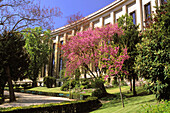 France, Paris, 16th arrondissement, Trocadéro gardens, Chaillot palace