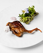 Grilled quail with green asparagus salad, restaurant Fischers Frith, Regent Hotel am Gendarmenmarkt, Berlin, Germany, Europe