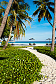 Palm trees and sunshades on the beach at Park Hyatt Maldives Hadahaa, Gaafu Alifu Atoll, North Huvadhoo Atoll, Maldives