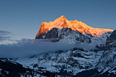 Sunset and last sun on the Wetterhorn, above Grindelwald, Winter Ski Resort in the Jungfrauregion, Bernese Oberland, Canton Bern, Switzerland, Europe