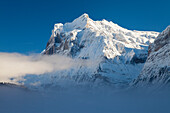 Wie ein Eisberg wirkt das frisch verschneite Wetterhorn oberhalb von Grindelwald, Jungfrauregion, Berner Oberland, Kanton Bern, Schweiz, Europa