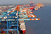 Aerial view of container port Bremerhaven, freighters being loaded by cranes, Weser Rivermouth, Bremerhaven, Bremen, Northern Germany