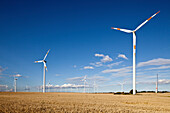 Windenergieanlage im Getreidefeld, Windpark neben der Autobahn A2 nach Berlin, Sachsen-Anhalt, Deutschland