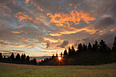 Hochmoor bei Sonnenaufgang, Goetheweg, Harz, Niedersachsen, Deutschland, Europa